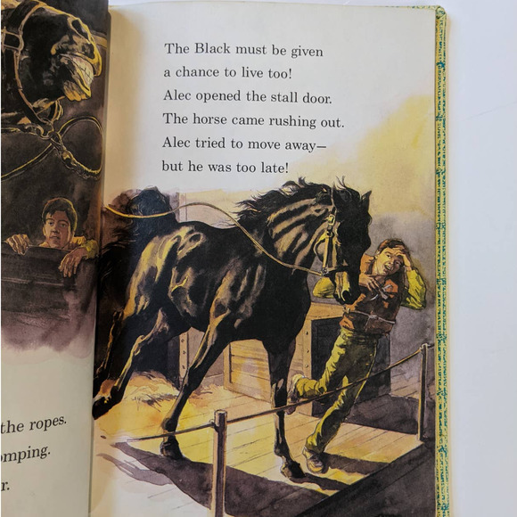 Vintage "The Black Stallion" by Walter Farley Dr. Seuss Beginner Books Childrens - Picture 4 of 10